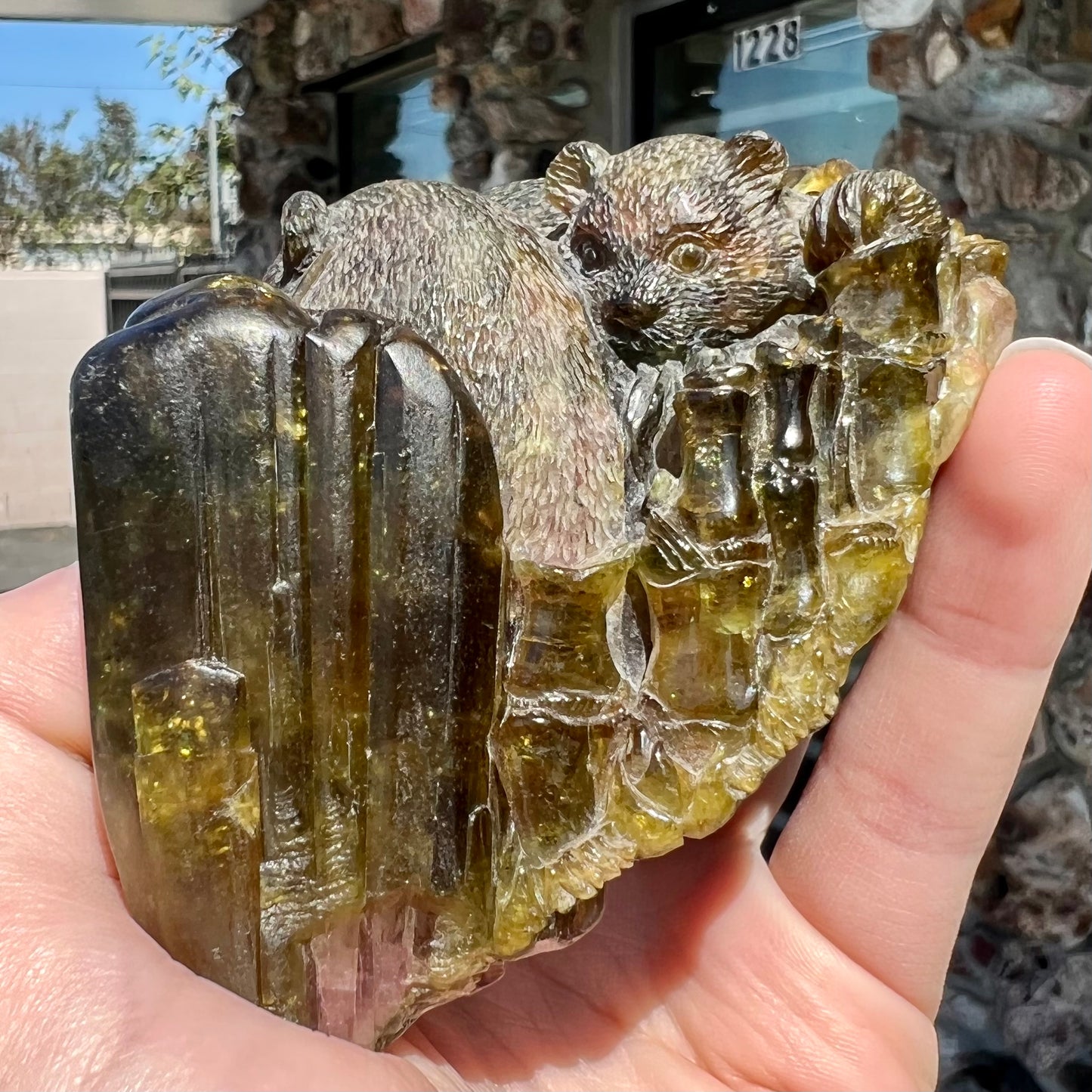 A crystal bear carved from Vietnamese liddicoatite tourmaline by Ronald Stevens.