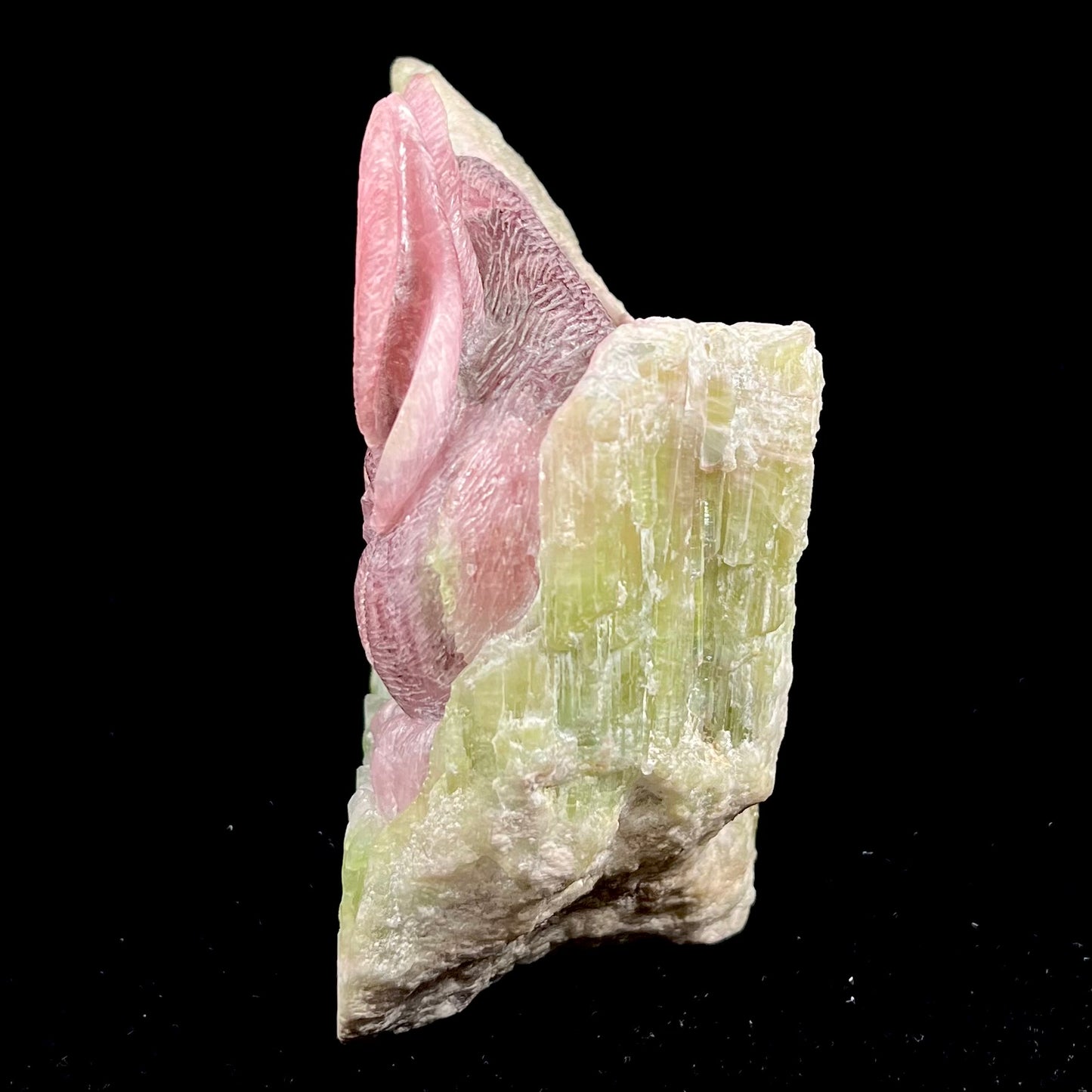 A stone rabbit carved from a conglomeration of watermelon tourmaline crystals by artist, Ronald Stevens.