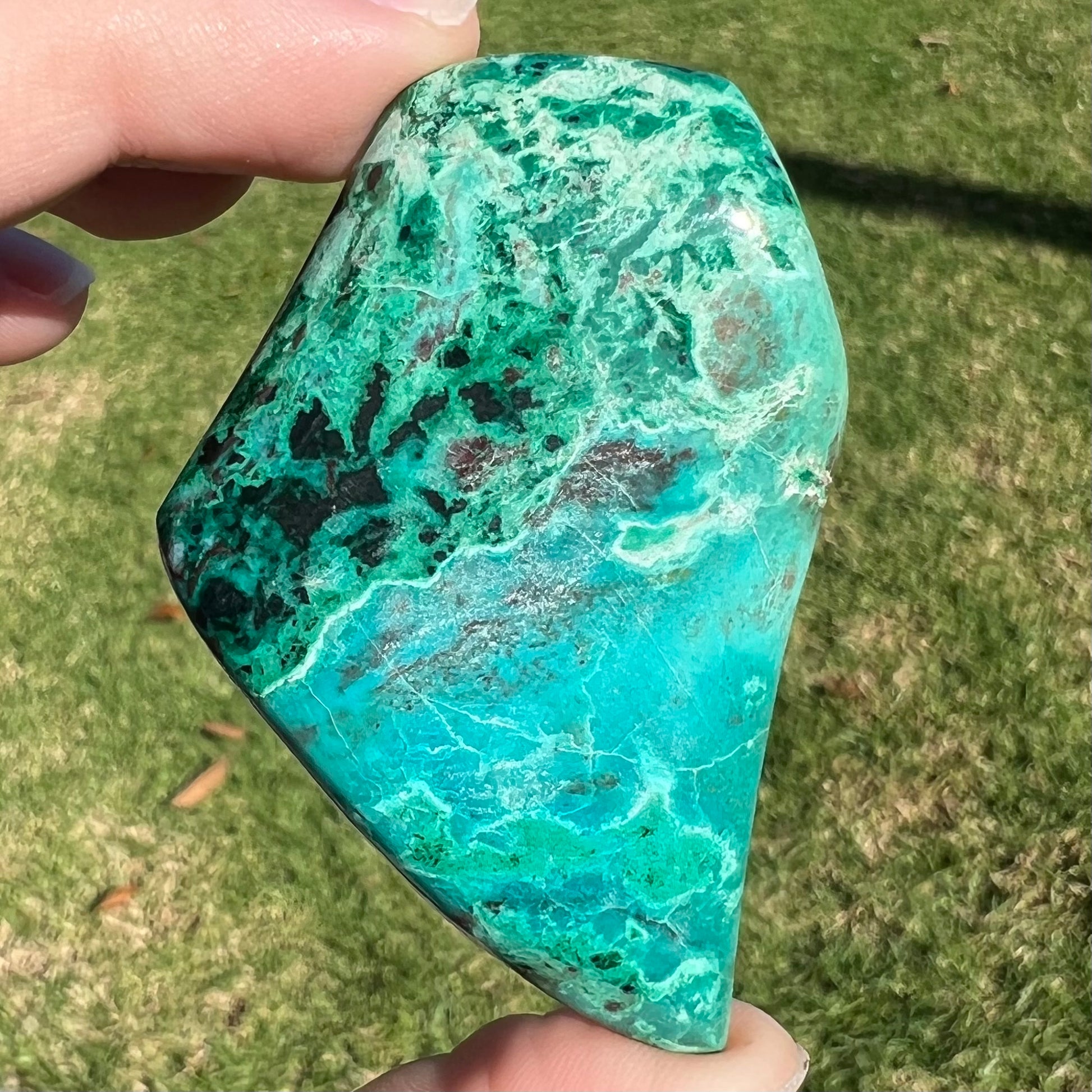 A polished, freeform shaped Eilat stone from King Solomon's Mine, Israel.