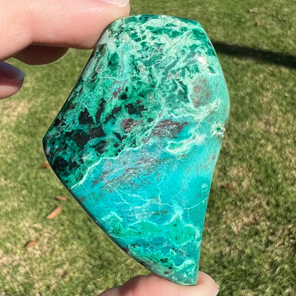 A polished, freeform shaped Eilat stone from King Solomon's Mine, Israel.