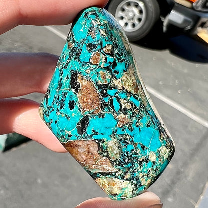 A loose polished chrysocolla stone with malachite inclusions.