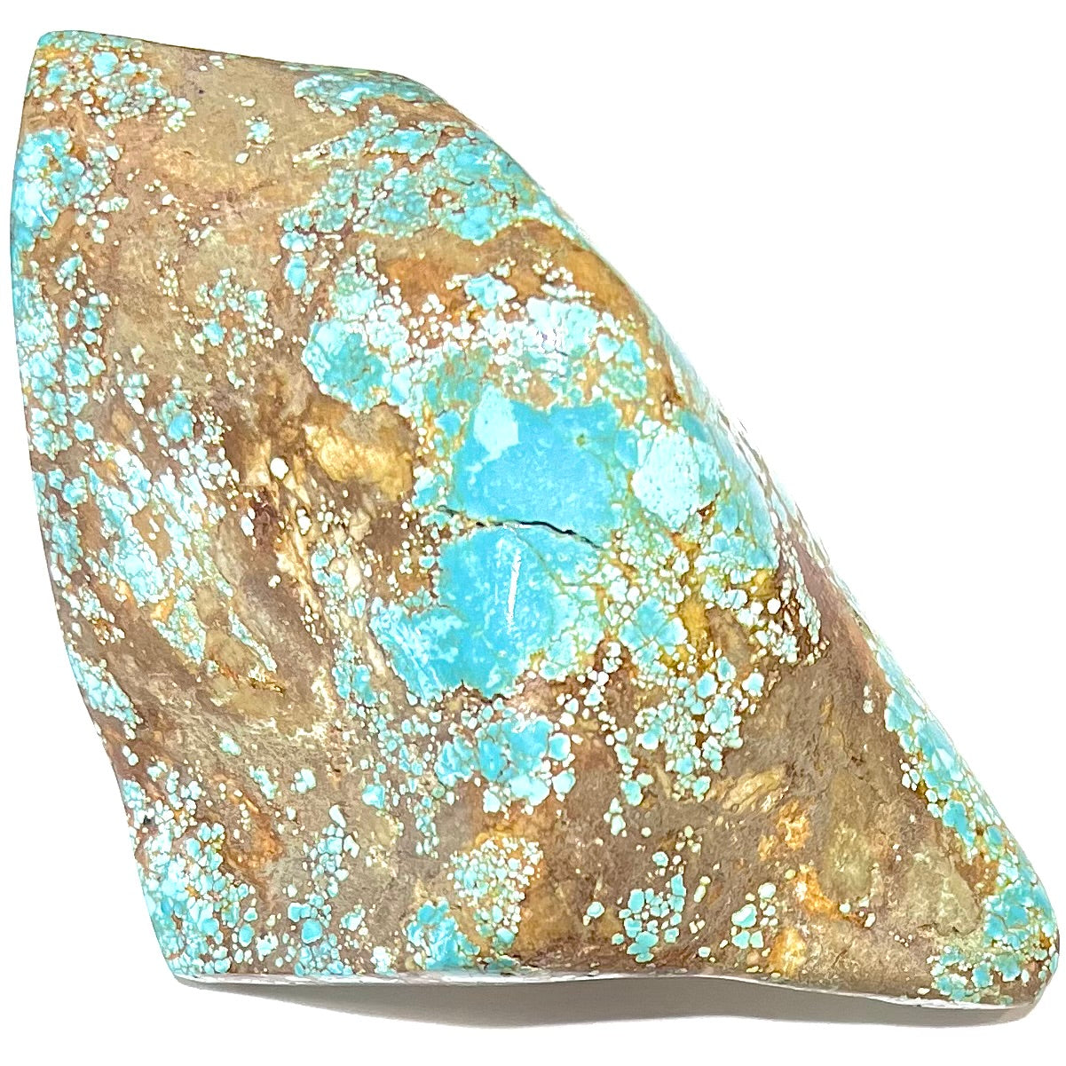 A polished Cripple Creek turquoise stone from Teller County, Colorado.