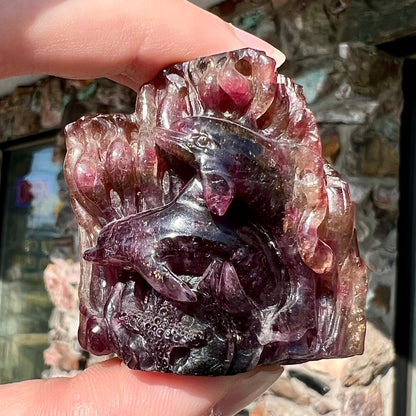 A scene of two dolphins and a starfish carved by artist, Ronald Stevens, from liddicoatite tourmaline crystal.