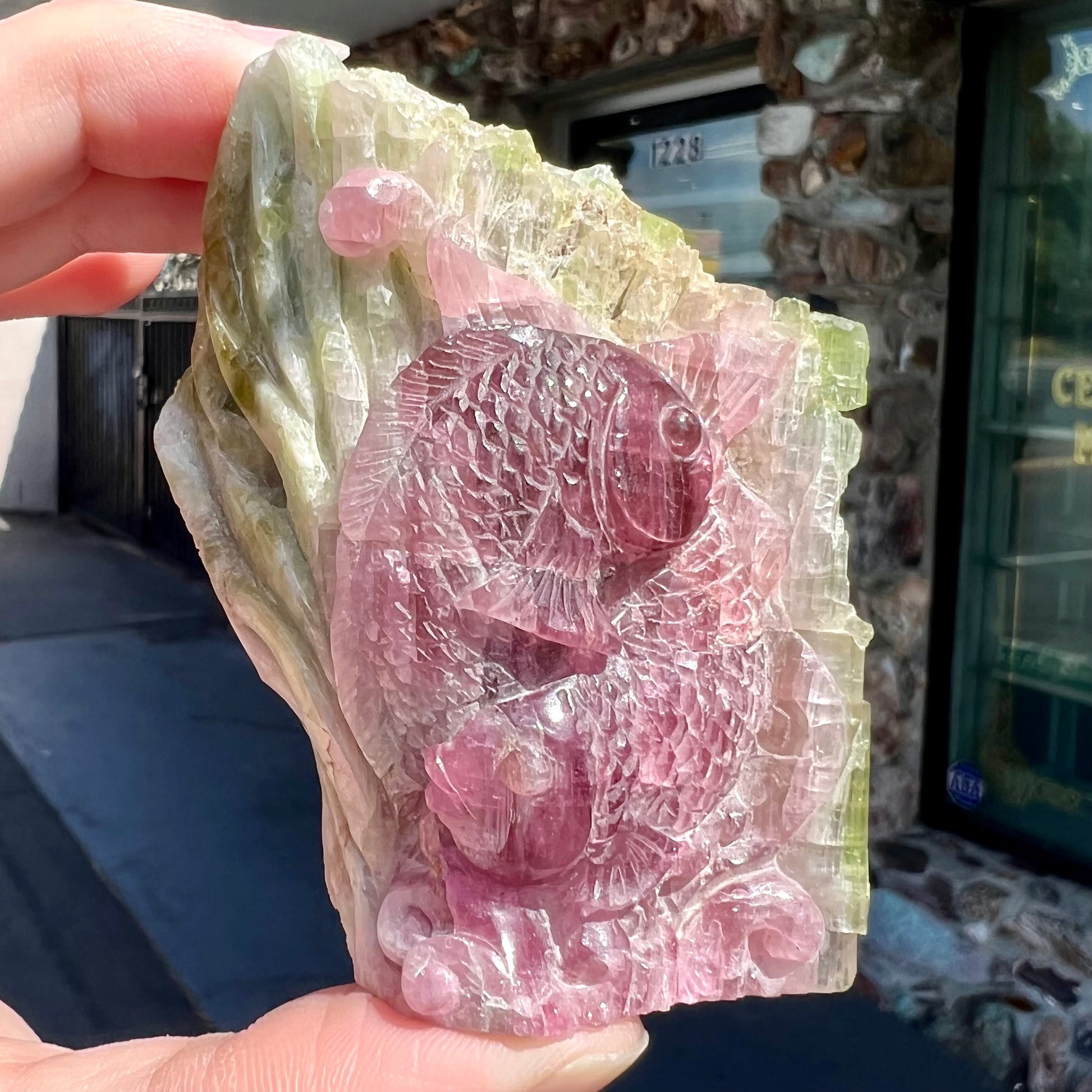 A stone carving of two fish swimming together carved from a watermelon tourmaline crystal conglomerate by artist, Ronald Stevens.