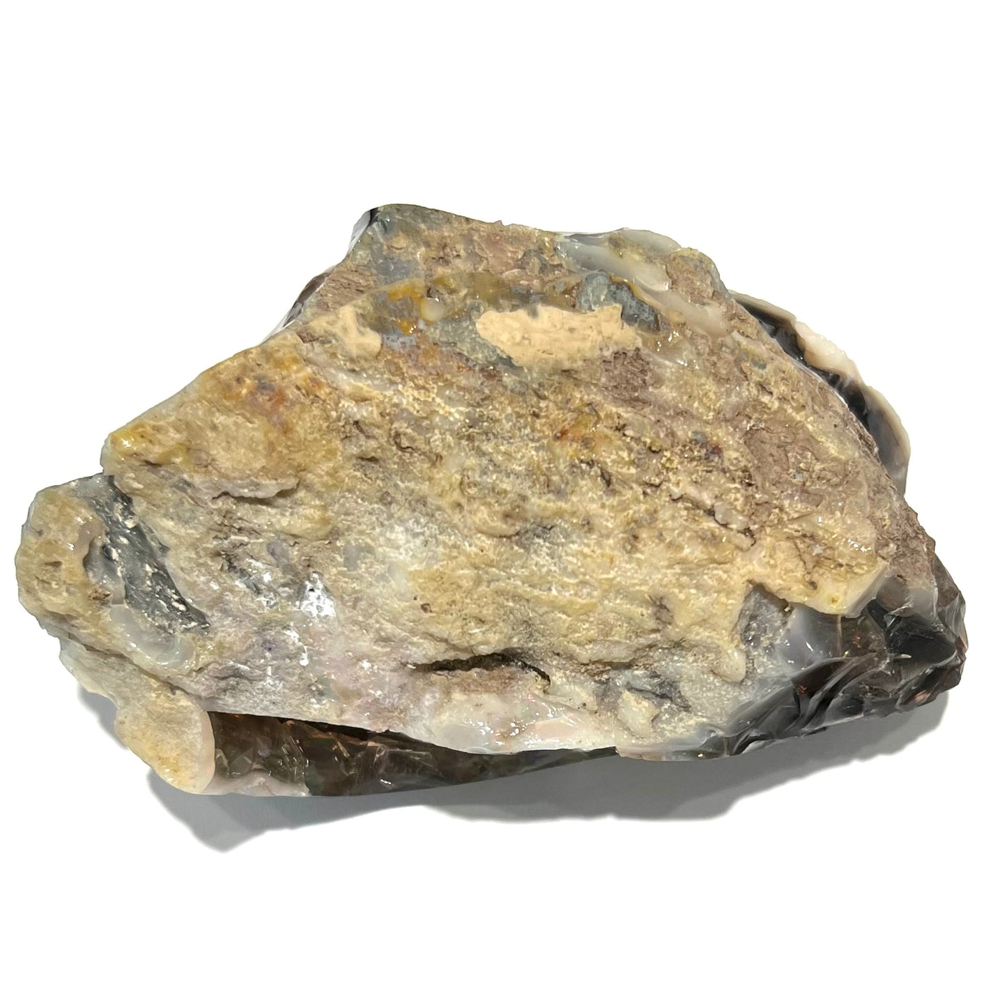 A brown opal crystal specimen from Virgin Valley, Nevada.