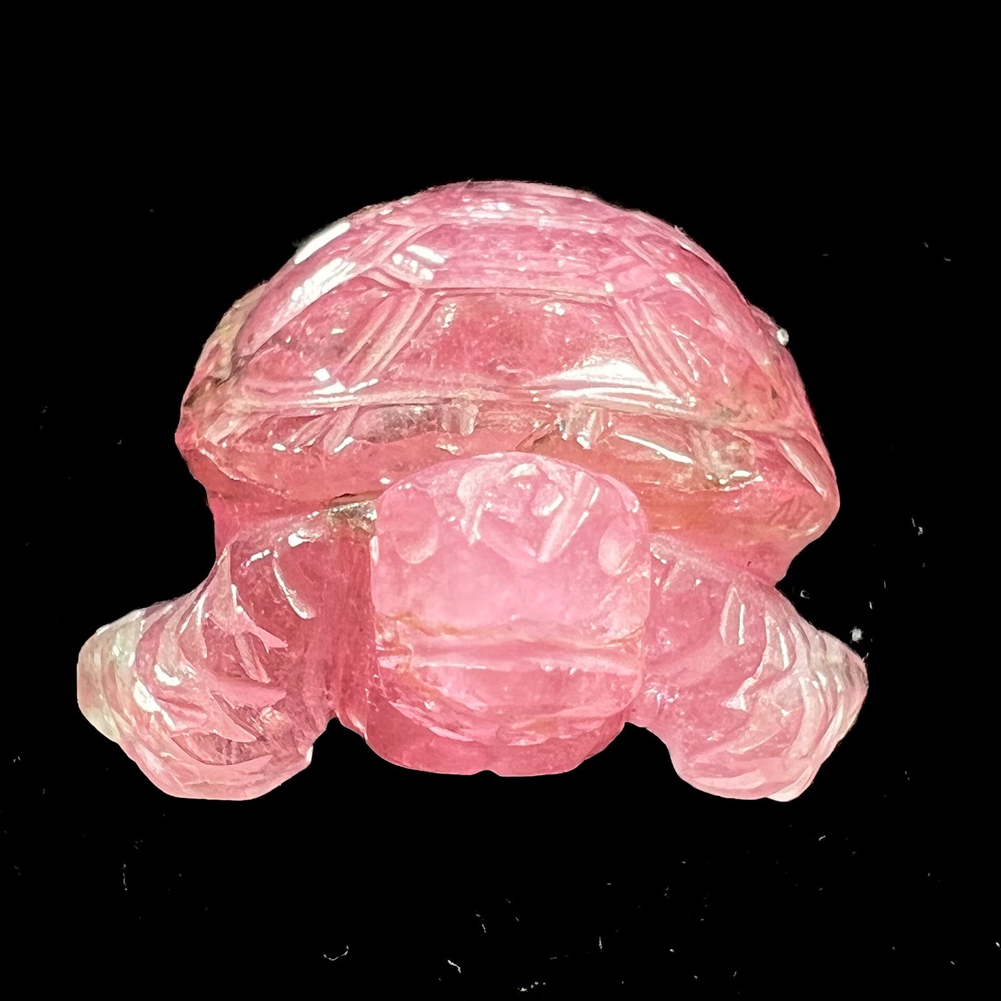 A crystal turtle carved from a pink tourmaline stone.