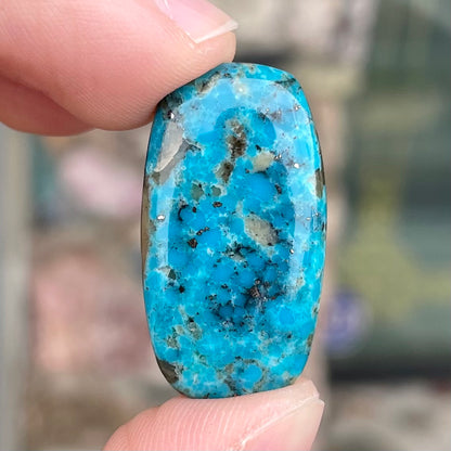 Turquoise #89 | Courtland-Gleeson