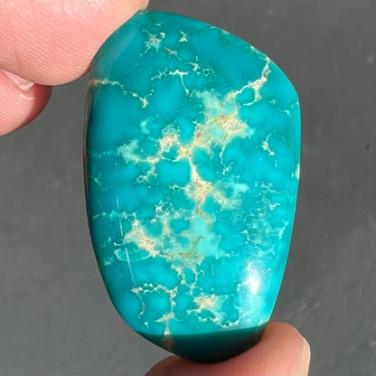 Loose blue turquoise stone from Fox Turquoise Mine in Lander County, Nevada.