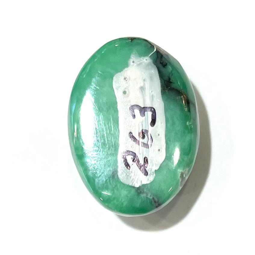 Turquoise #263 | Tyrone