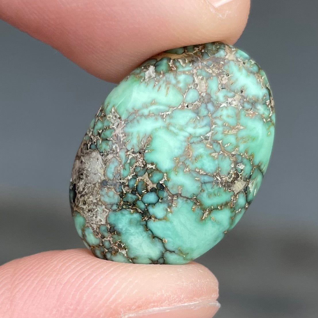 A loose, oval cabochon cut variscite stone from Utah, USA.