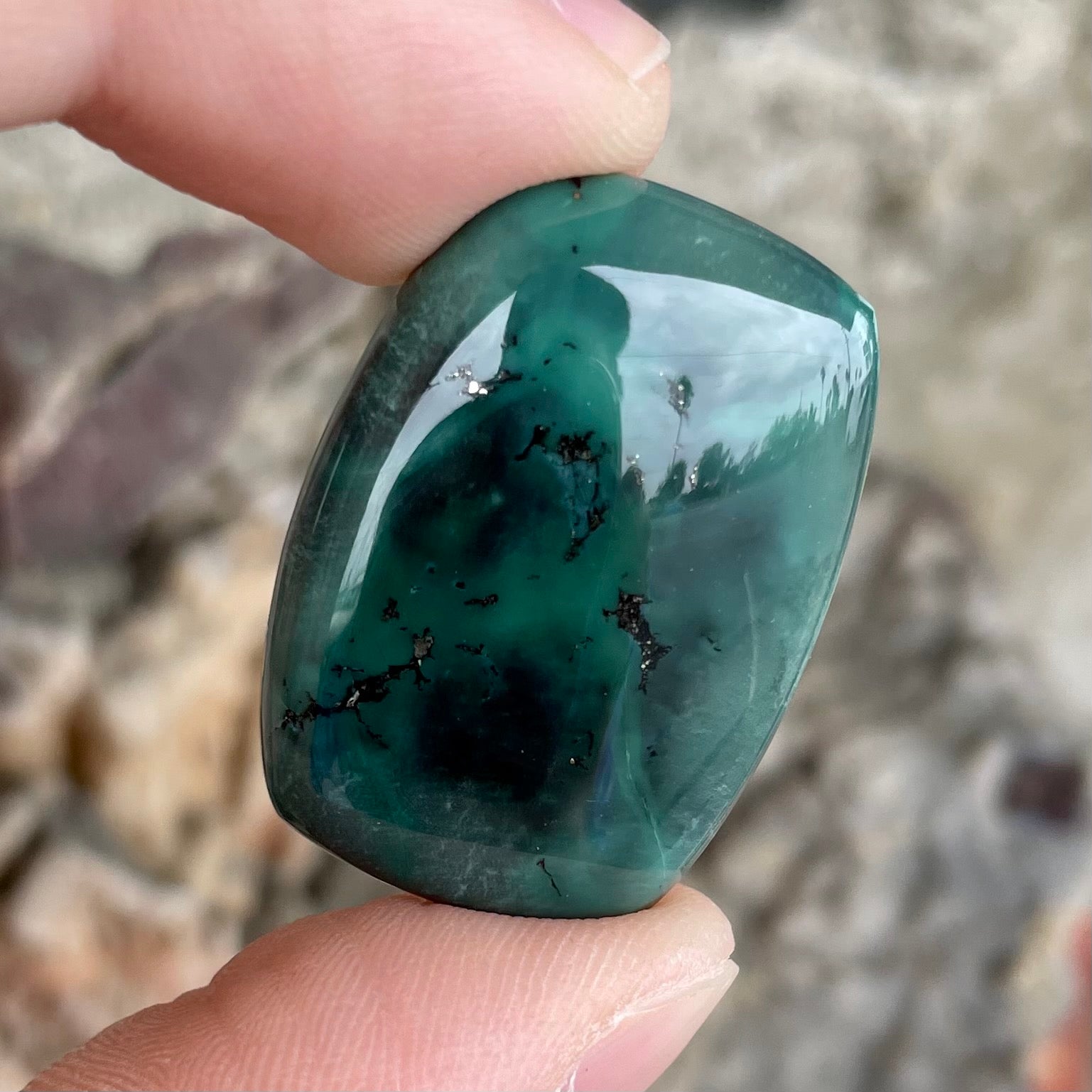 A loose, polished dark green turquoise stone from Royston Mining District, Nevada.