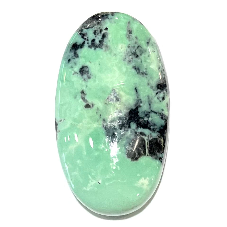 Turquoise #69 | Badger