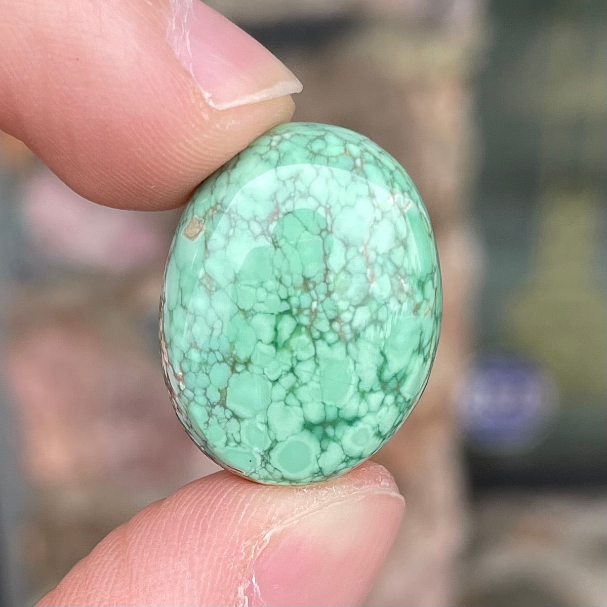 An oval cabochon cut green Variscite stone from Utah, USA.
