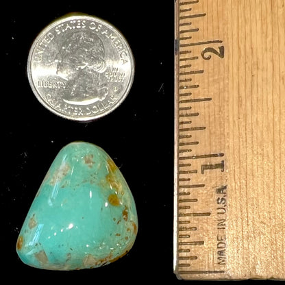 Turquoise #298 | Royston