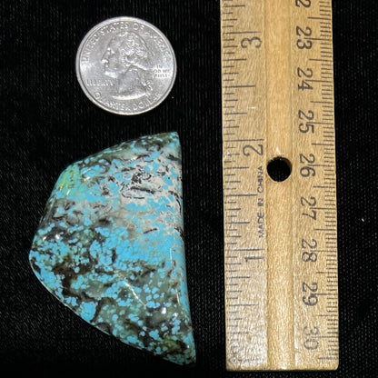 Freeform cabochon cut Valley Blue turquoise from Lander County, Nevada.