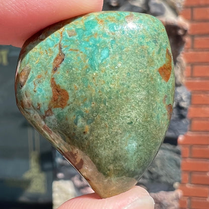Turquoise #294 | Manassa