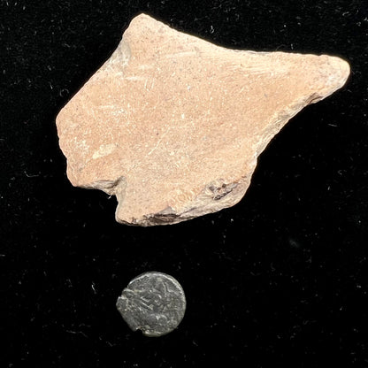 Artifact & Ancient Coin Lot