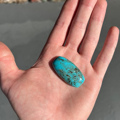Turquoise #58 | Pinto Valley