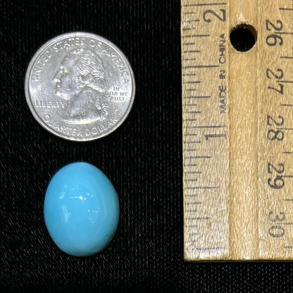 Loose Sleeping Beauty turquoise cabochon compared to a US quarter.
