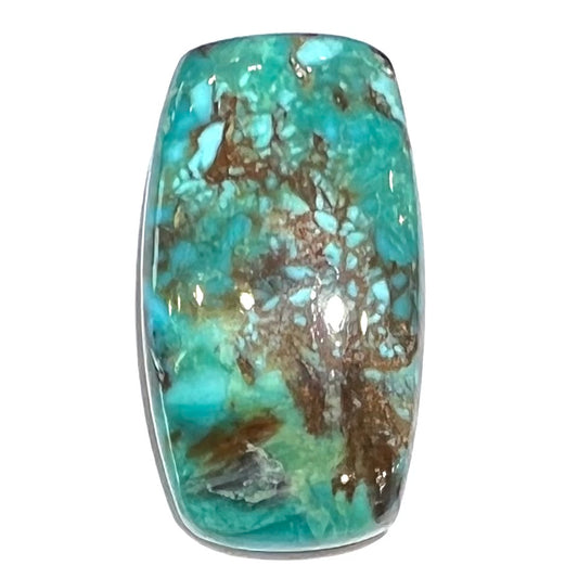 A loose turquoise stone from Royston Mining District, Nevada.  The stone is blue green with brown matrix veining.