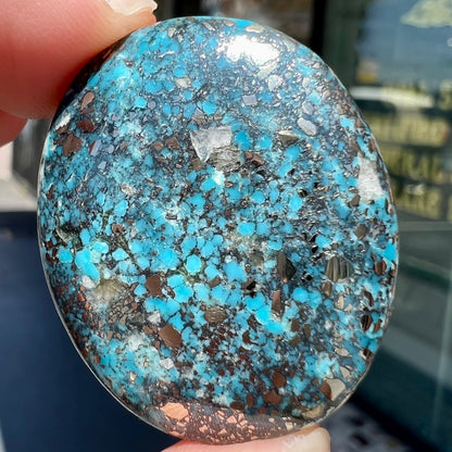 Turquoise #295 | Morenci