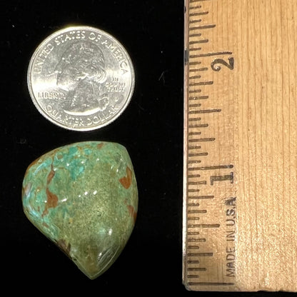 Turquoise #294 | Manassa