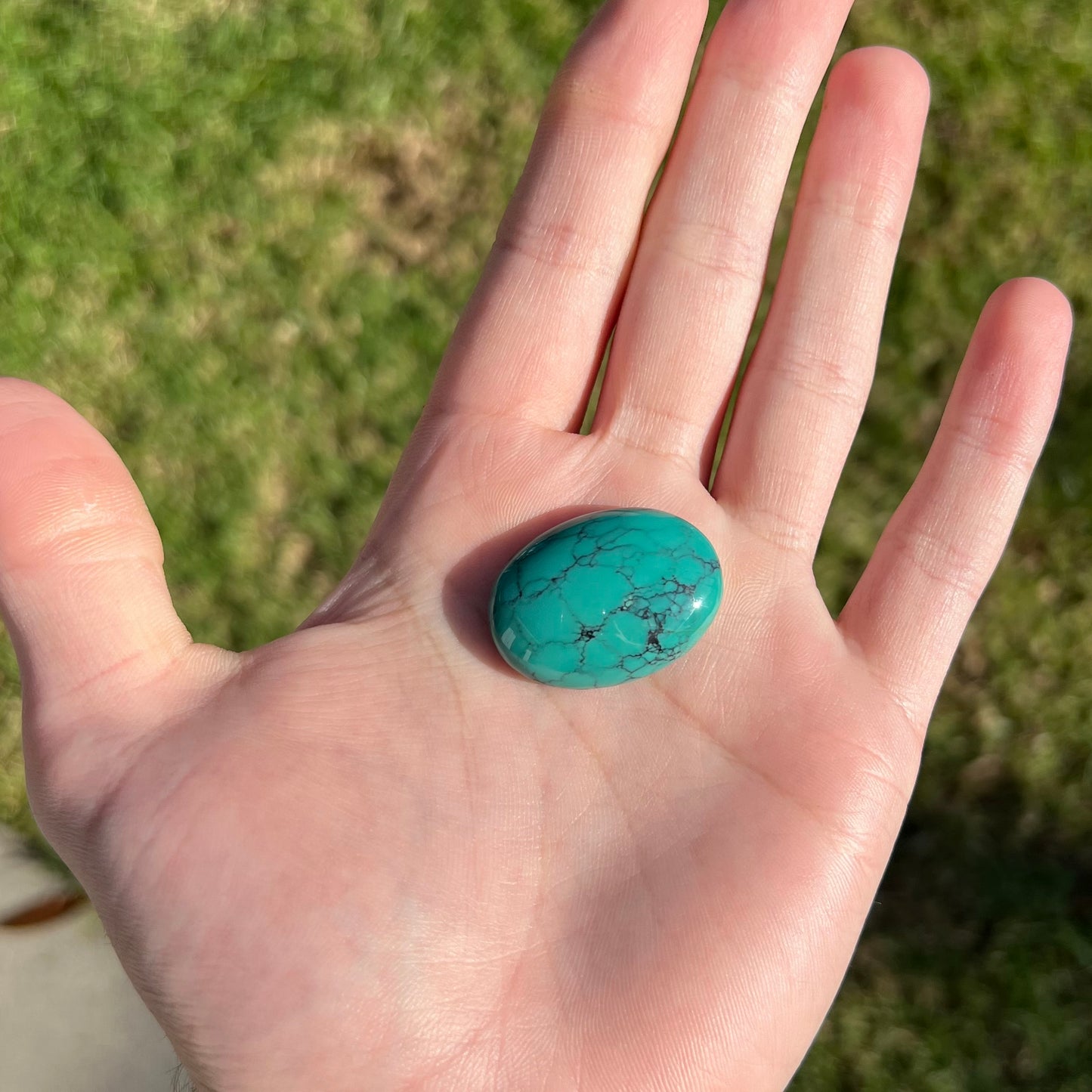 Turquoise #274 | Tyrone