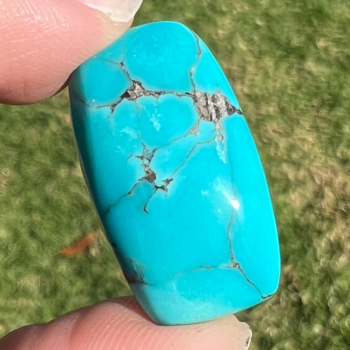 A loose, barrel cabochon cut blue turquoise stone from Burro Mountains, New Mexico.