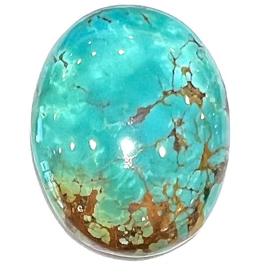 Turquoise #276 | Royston