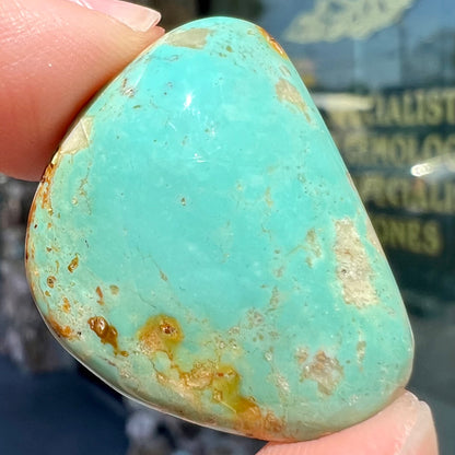 Turquoise #298 | Royston
