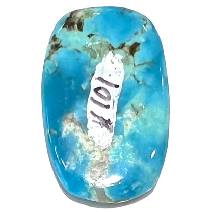 A blue barrel cabochon cut turquoise stone from the Sleeping Beauty Mine.