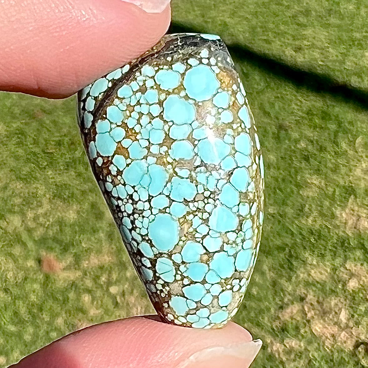 A loose, freeform cabochon cut turquoise stone from Number 8 Mine, Nevada.