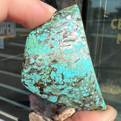 Freeform cabochon cut Valley Blue turquoise from Lander County, Nevada.