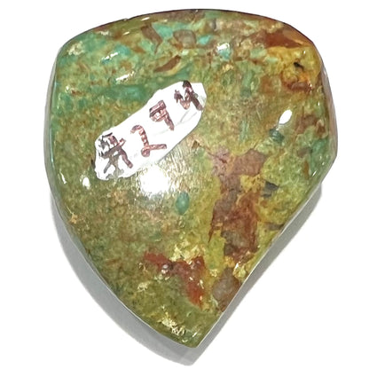 Turquoise #294 | Manassa
