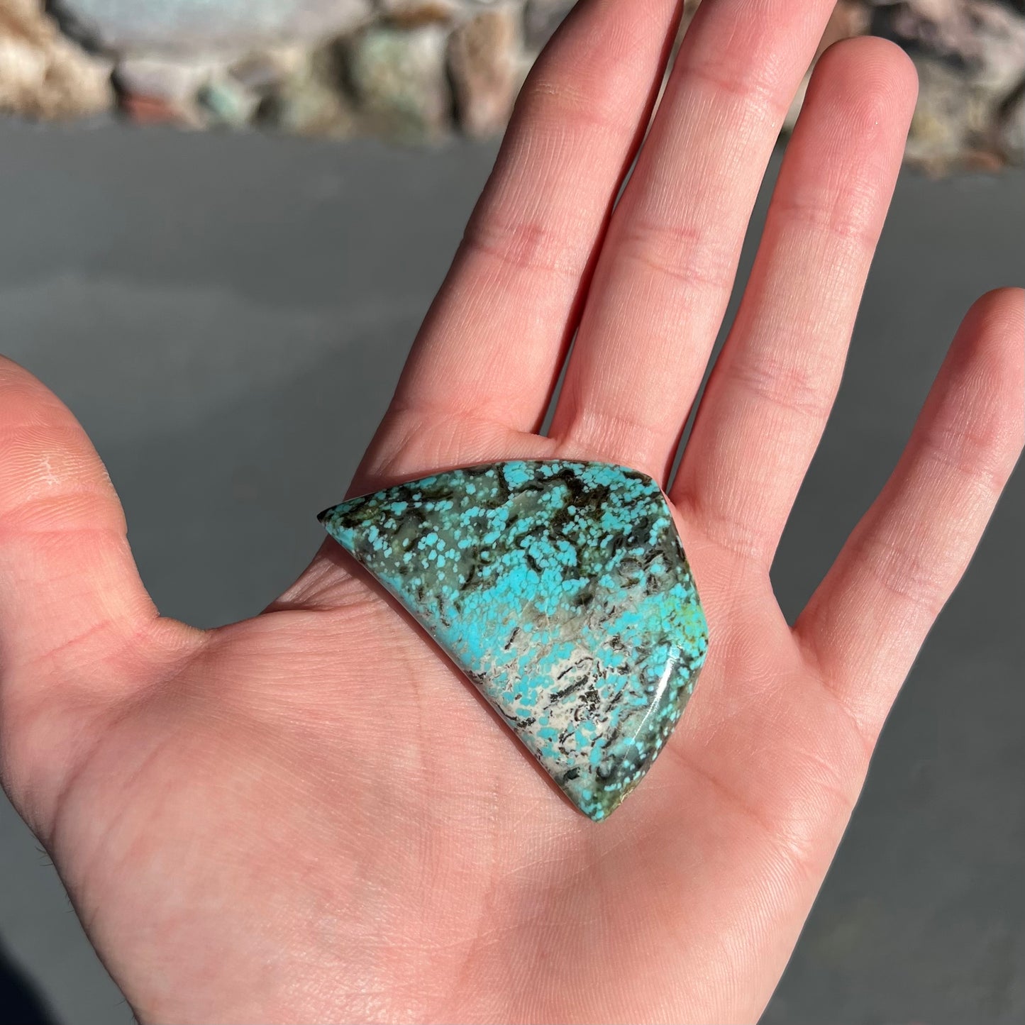 Freeform cabochon cut Valley Blue turquoise from Lander County, Nevada.