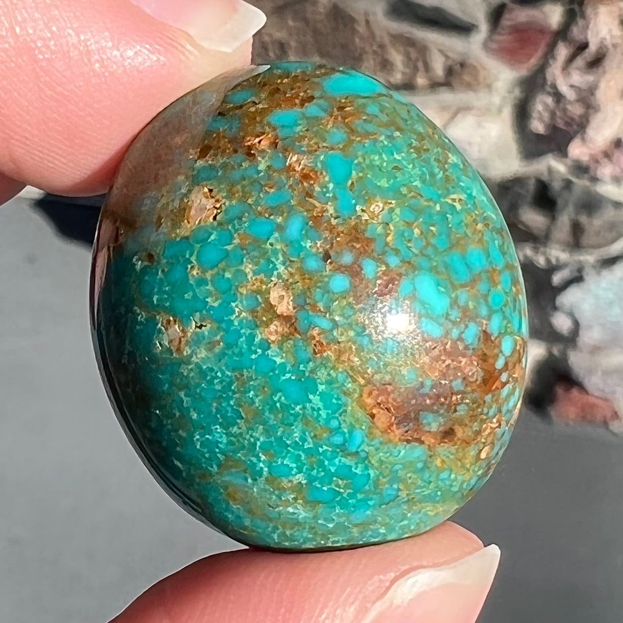 An oval cabochon cut green Royston turquoise with brown matrix.