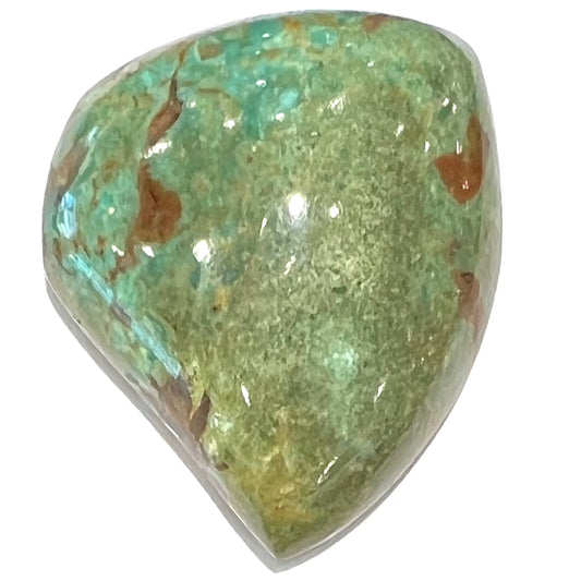 Turquoise #294 | Manassa