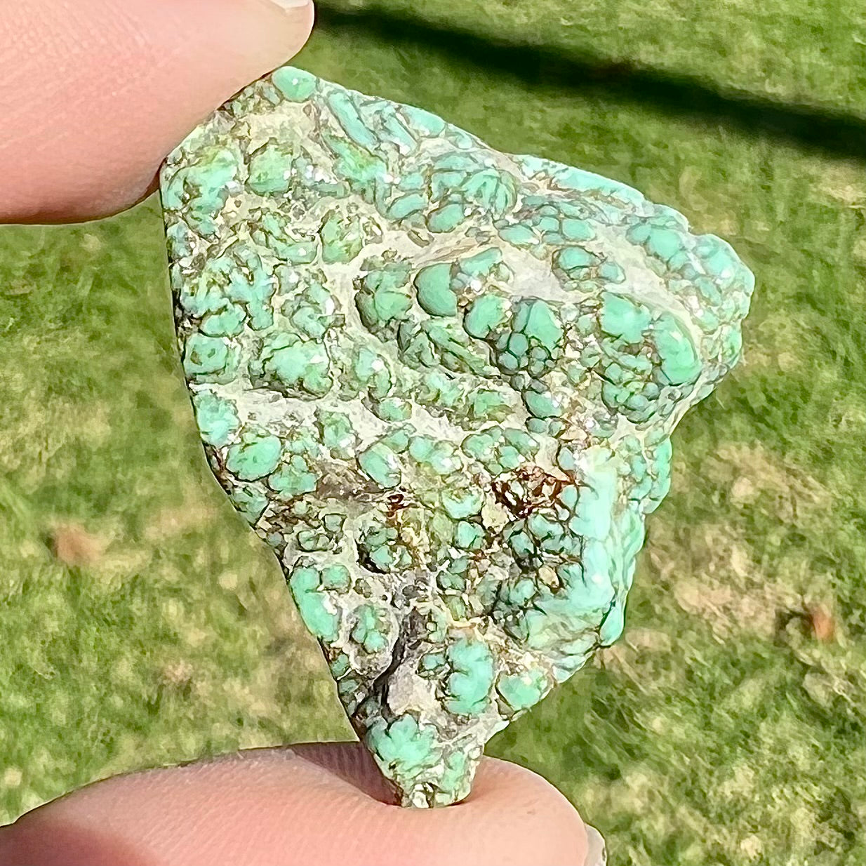Loose semi-polished rough variscite stone slice.