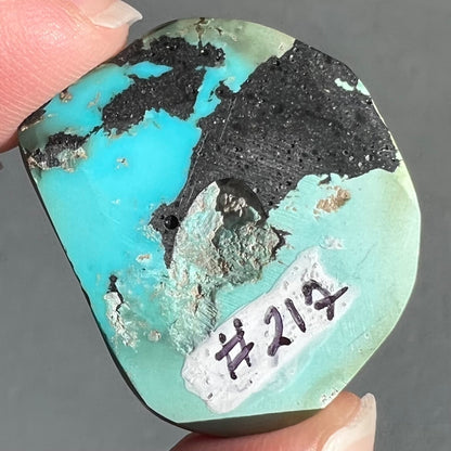 Turquoise #217 | Sleeping Beauty Nugget