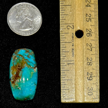 A loose, polished cabochon cut turquoise stone from Royston Mining District, Nevada.