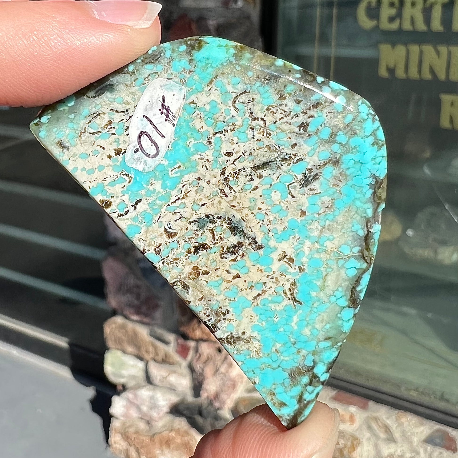 Freeform cabochon cut Valley Blue turquoise from Lander County, Nevada.