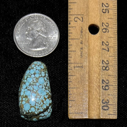 A loose, freeform cabochon cut turquoise stone from Number 8 Mine, Nevada.