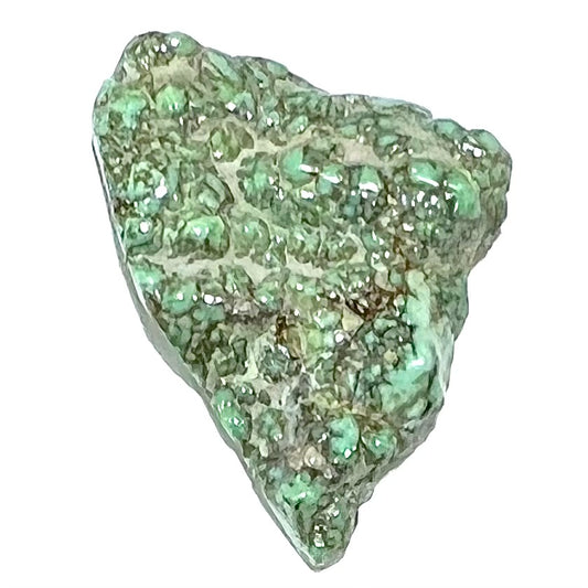 Loose semi-polished rough variscite stone slice.