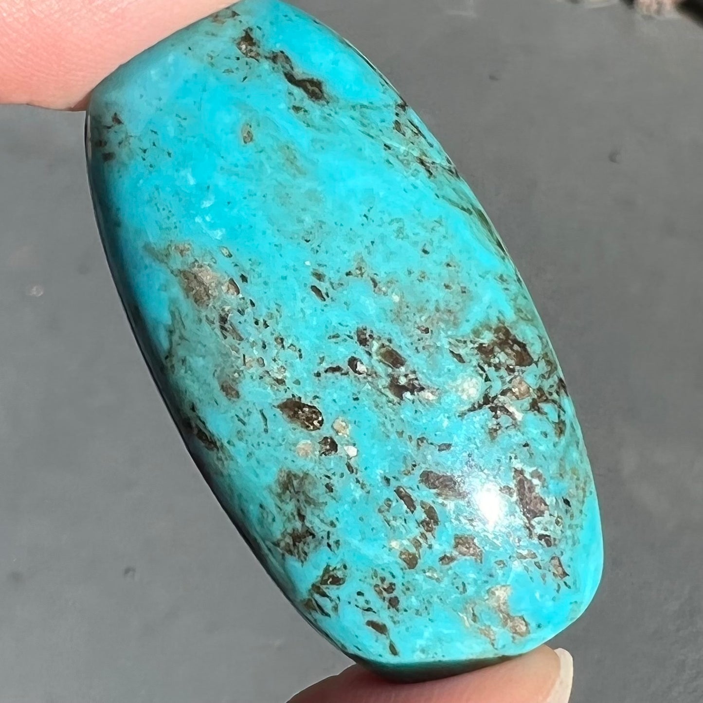 Turquoise #58 | Pinto Valley