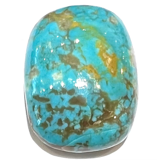 Turquoise #199 | Pilot Mountain Turquoise