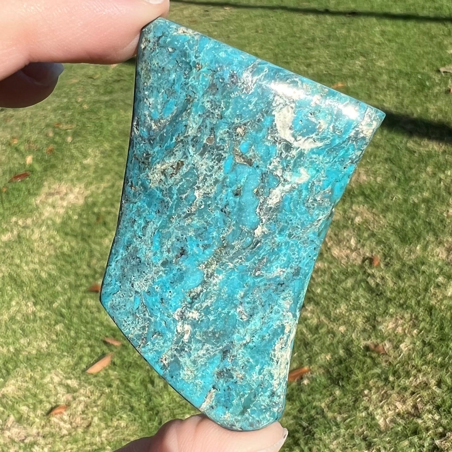 One loose semi-polished Stormy Mountain turquoise stone.