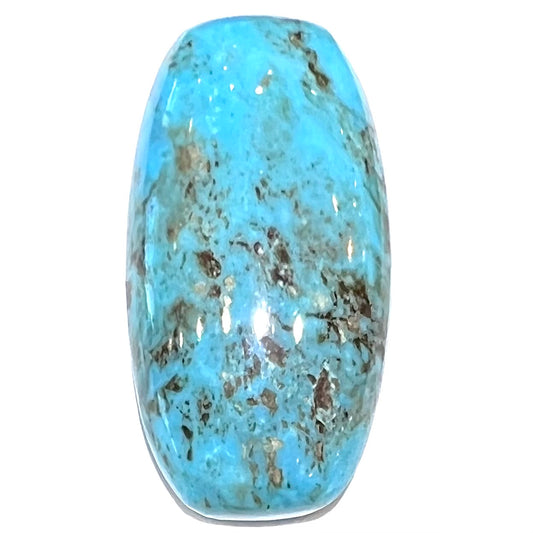 Turquoise #58 | Pinto Valley