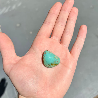 Turquoise #298 | Royston