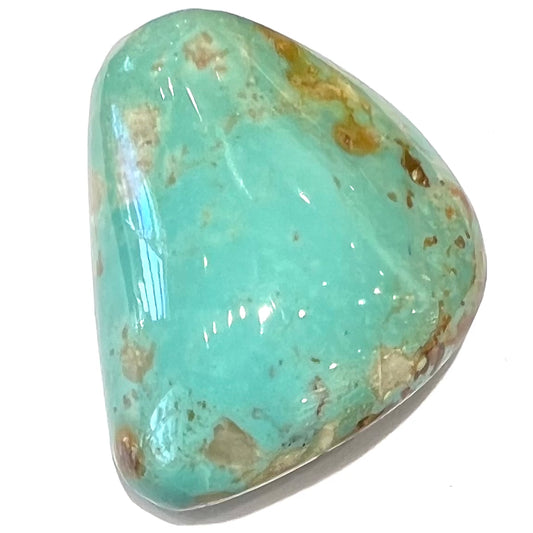 Turquoise #298 | Royston