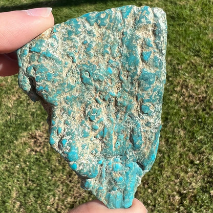 A loose semi-polished rough Sleeping Beauty turquoise stone.
